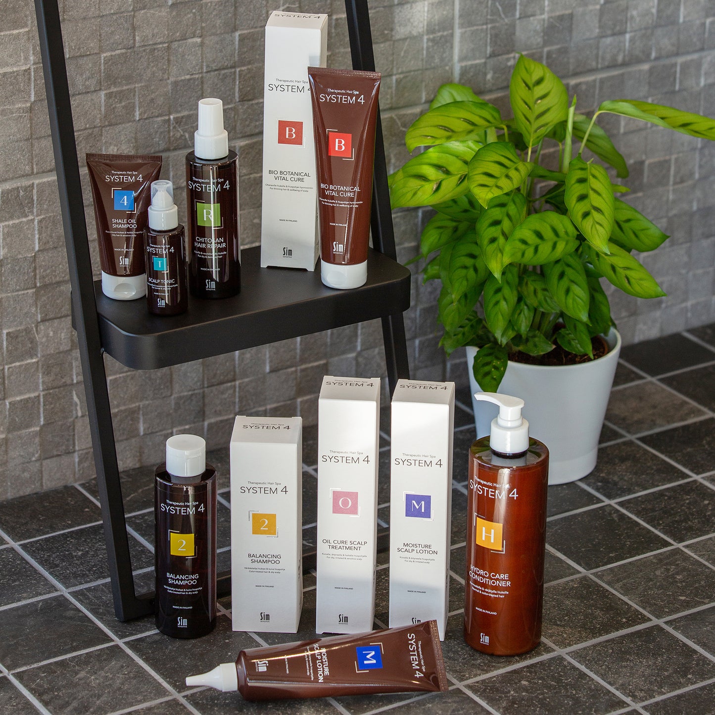 2 (甘寶素)洗髮水 System #11322  System 4 2 BALANCING SHAMPOO 250ml